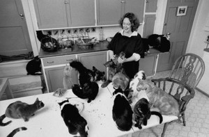 Sandy Dennis And Her Cats