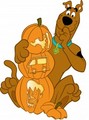 Scooby Halloween - scooby-doo photo