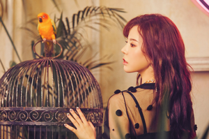 Sunny's teaser image for "Lil' Touch"