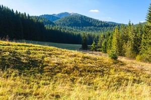 The Belianske Tatras, Slovakia
