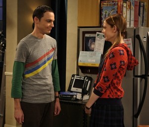  The Big Bang Theory Season 2