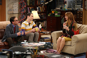  The Big Bang Theory Season 3