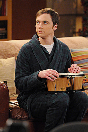  The Big Bang Theory Season 5