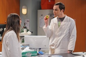  The Big Bang Theory Season 5