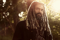 The Walking Dead - Season 9 Portrait - Ezekiel - the-walking-dead photo