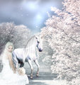 Unicorn Bride - unicorns photo
