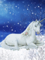 Unicorn in the snow - unicorns photo