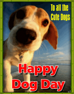  happy national dog Tag