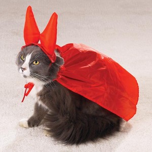  gatinhos in costume