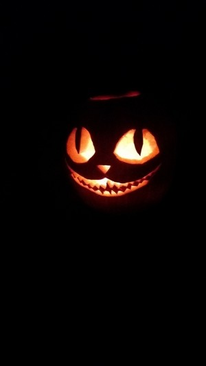  spooky Halloween pumkin cat💖