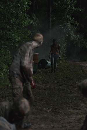  9x04 ~ The Obliged ~ Michonne