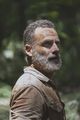 9x04 ~ The Obliged ~ Rick - the-walking-dead photo
