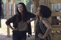 9x08 ~ Evolution ~ Yumiko and Connie - the-walking-dead photo