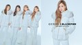BLACKPINK for GUESS Winter Collection 2018 - black-pink photo