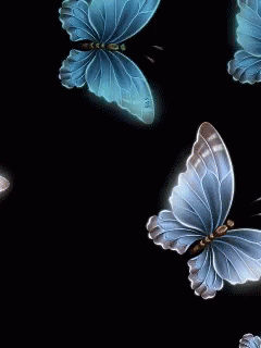  Beautiful mariposas