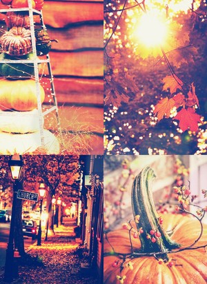  Beauty of autumn 🧡