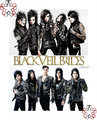 Black Veil Brides ~then and now - andy-sixx photo