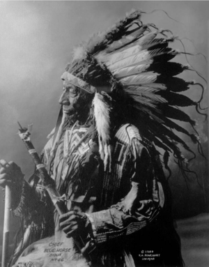 Chief Blue Horse (Sioux) Frank A Rinehart  1900