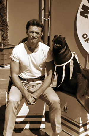 Clint Eastwood with a seal (1960s)