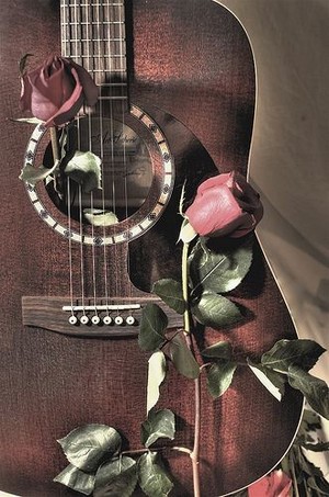  đàn ghi ta, guitar and hoa hồng ❤️