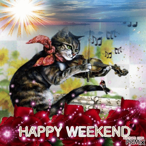 Image result for picmix happy weekend