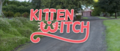 Kitten Witch - random photo