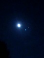 Luna & Mars - random photo