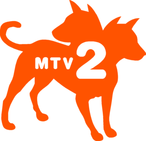 MTV2 Logo 10