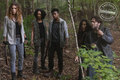 Magna's Group - the-walking-dead photo