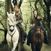 Outlander Icons - outlander-2014-tv-series icon