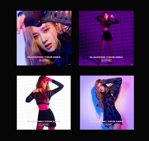 Photos from BLACKPINK In Your Area New Japanese Album 2018
