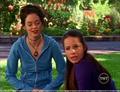 Piper and Paige 10 - charmed photo