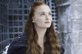 Sansa Stark - tv-female-characters photo
