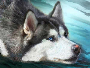  Siberian Husky Painting
