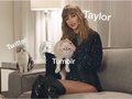 TAYLOR SWIFT AND TWO CATS - taylor-swift photo