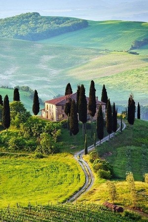 Tuscany(Italy)☀️🌸