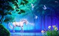 Unicorn Wallpaper - unicorns photo