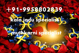 Voodoo Spell Specialist Baba ji 91 9958802839 Malaysia