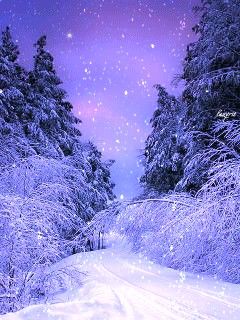  sweet Winter time❄