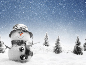  क्रिस्मस Snowman ⛄