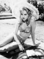 Lolita  - classic-movies photo