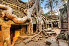  Siem Reap, Cambodia