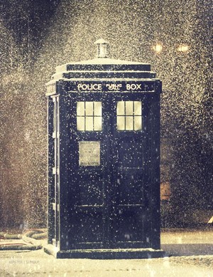 TARDIS in the snow 