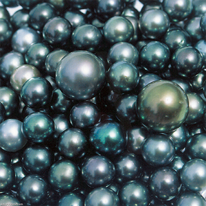 Black Pearls