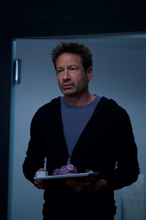  volpe Mulder