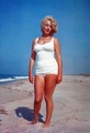 Marilyn At The Beach - marilyn-monroe photo