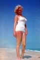 Marilyn On The Beach - marilyn-monroe photo
