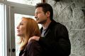 The X-Files - the-x-files photo