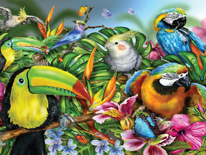  Tropical Colorful Birds