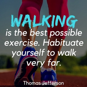  Quote Pertaining To Walking